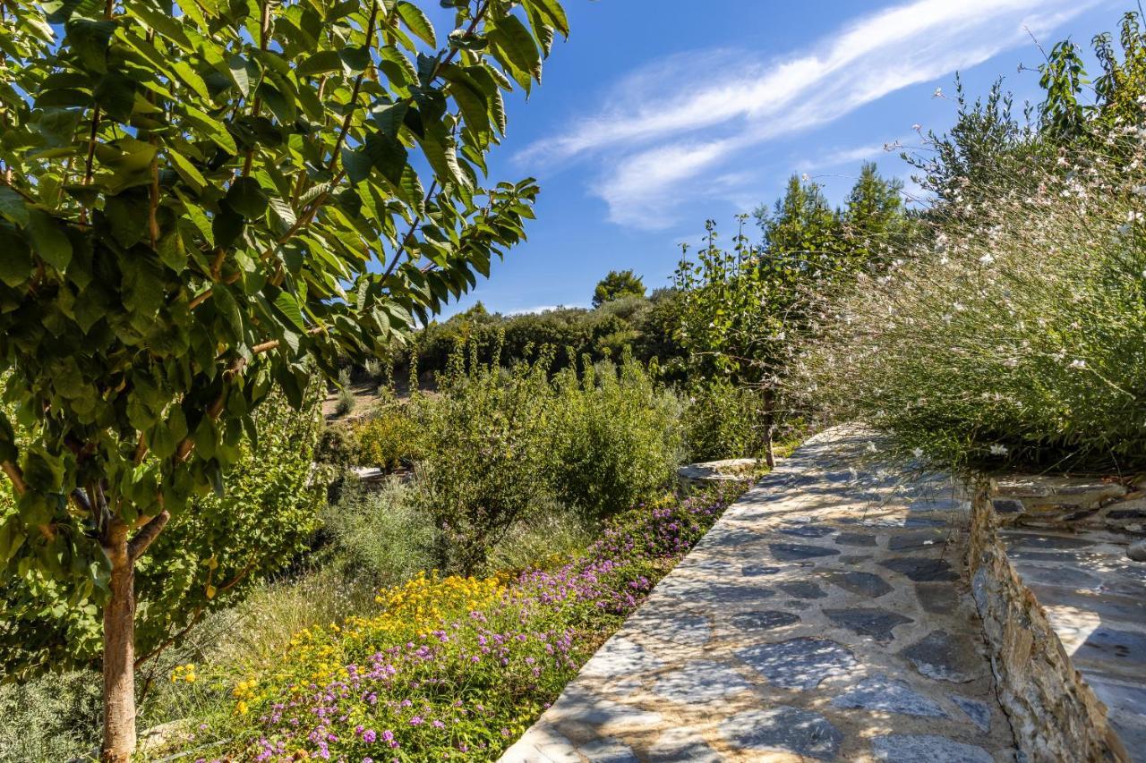 Villa Politimi Luxury Retreat Skopelos Extérieur photo